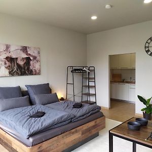Deluxe Studio met een King Size Bed